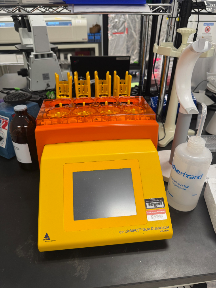 Image of Miltenyi gentleMACS Octo Dissociator w/ Heaters